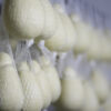 Tanto Latte Cacciocavallo Cheese